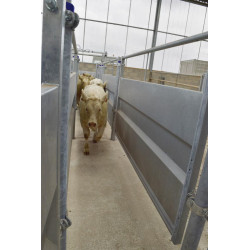 Verblechtes gerades Panel mit festem Rohr