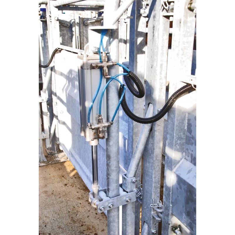 LV Modul mit pneumatischer Steuerung und verstellbarer Breite