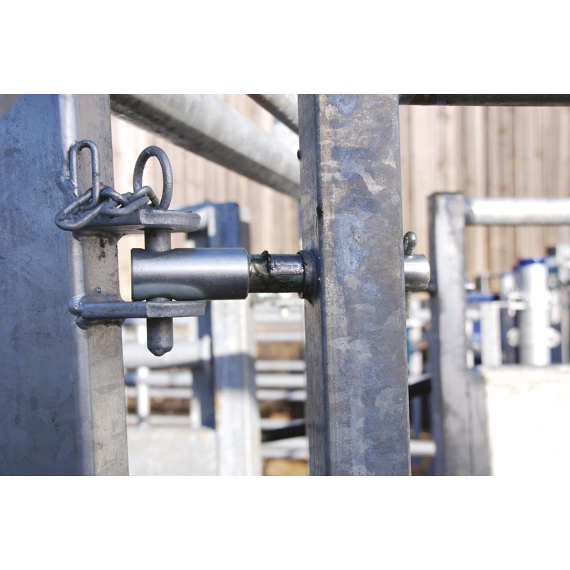 LV Modul mit pneumatischer Steuerung und verstellbarer Breite