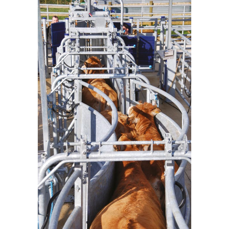 LV Modul mit pneumatischer Steuerung und verstellbarer Breite