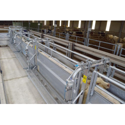 LV Modul mit pneumatischer Steuerung und verstellbarer Breite