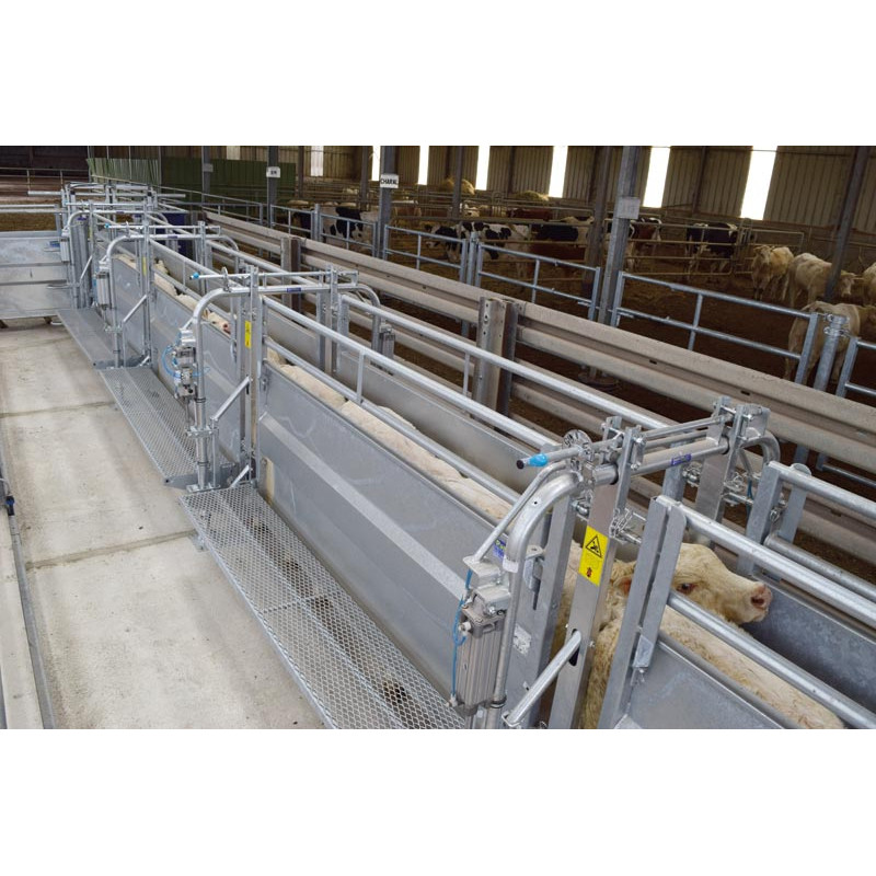 LV Modul mit pneumatischer Steuerung und verstellbarer Breite