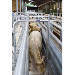 LV Modul mit pneumatischer Steuerung und verstellbarer Breite