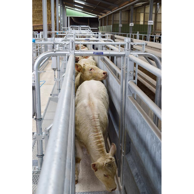 LV Modul mit pneumatischer Steuerung und verstellbarer Breite