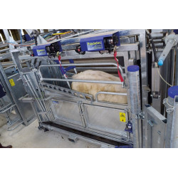 Schubvorrichtung Anti-Rücklauf, pneumatisch