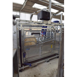 Schubvorrichtung Anti-Rücklauf, pneumatisch