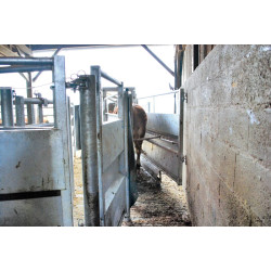 Anti-Rücklaufstange