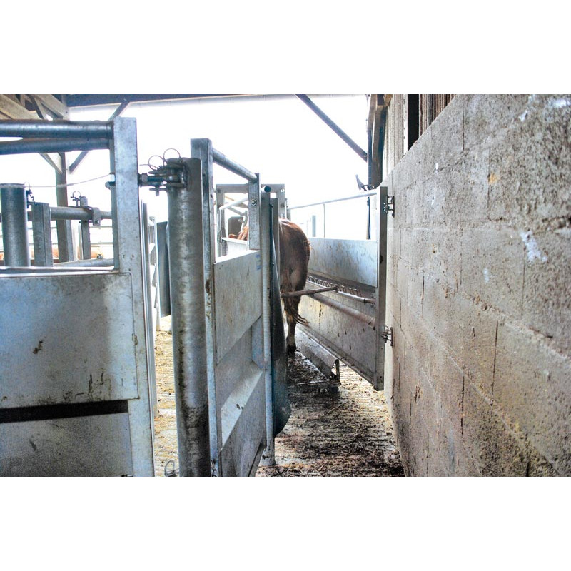 Anti-Rücklaufstange