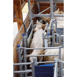 Verblechtes gerades Panel (verstellbar) mit festem Rohr