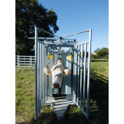 Hydraulischer fahrbarer Behandlungstreibgang Hydraulischer fahrbarer Behandlungstreibgang