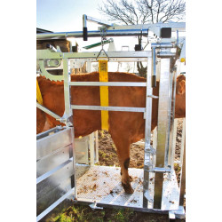 Fang- und Behandlungsstand LFM - 4 Seitentüren - Feste Seiten - Seitliche Panels