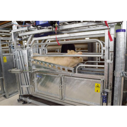 Fang- und Behandlungsstand LVAP - 4 Seitentüren - Breitenverstellbare Seiten - Seitliche Panels, öffnend, mit Türen