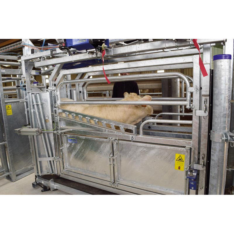 Fang- und Behandlungsstand LVAP - 4 Seitentüren - Breitenverstellbare Seiten - Seitliche Panels, öffnend, mit Türen