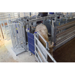 Fang- und Behandlungsstand LVAP - 4 Seitentüren - Breitenverstellbare Seiten - Seitliche Panels, öffnend, mit Türen