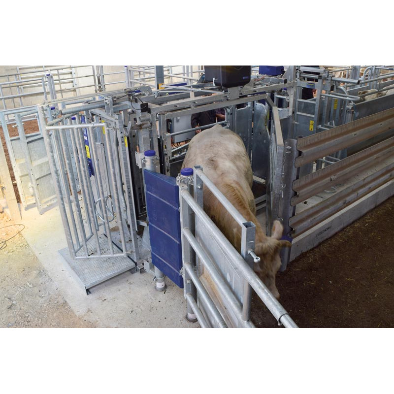 Fang- und Behandlungsstand LVAP - 4 Seitentüren - Breitenverstellbare Seiten - Seitliche Panels, öffnend, mit Türen