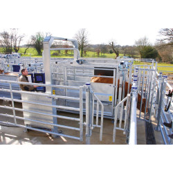 Fang- und Behandlungsstand LVAP - Verblechte Panels - Breitenverstellbare Seiten - verblechte seitliche Panels, nicht öffnend