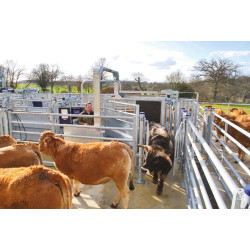 Fang- und Behandlungsstand LVAPI - Verblechte Panels - Breitenverstellbare Seiten - verblechte seitliche Panels, öffnend.