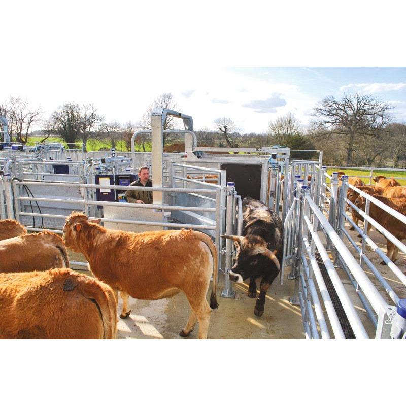 Fang- und Behandlungsstand LVAPI - Verblechte Panels - Breitenverstellbare Seiten - verblechte seitliche Panels, öffnend.