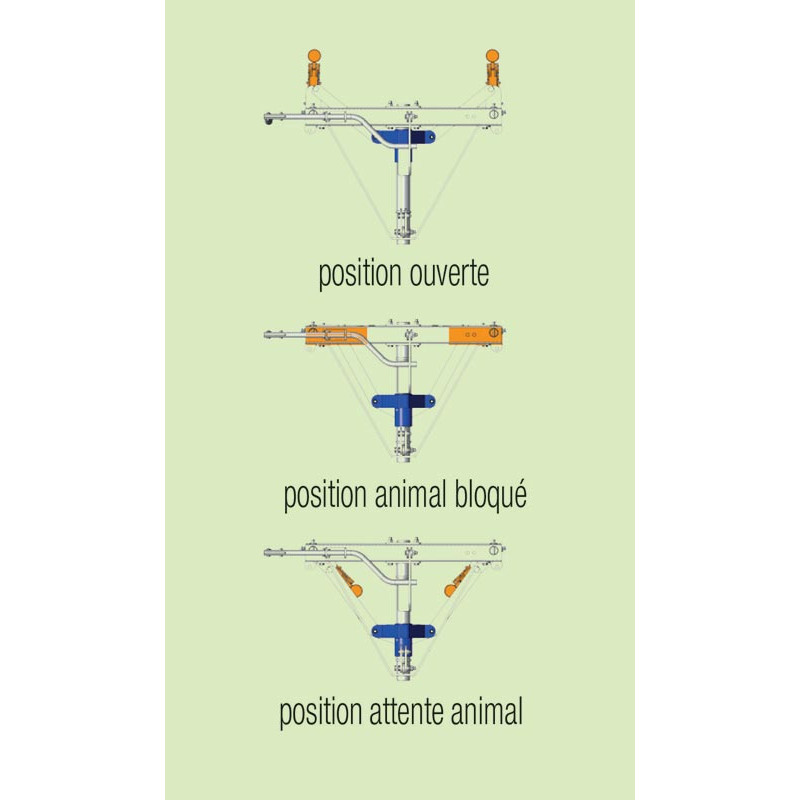 Handbetätigter PCCA-Halsfangrahmen, selbstsperrend Handbetätigter PCCA-Halsfangrahmen, selbstsperrend