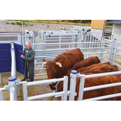 SECURIPASS-Torflügel