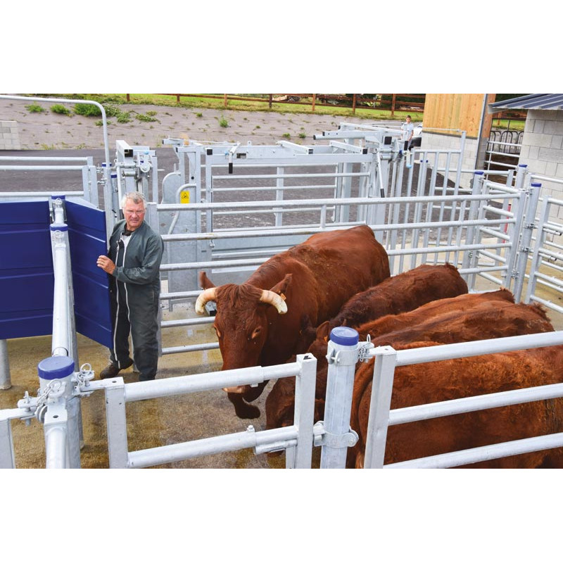 SECURIPASS-Torflügel