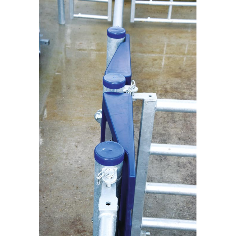 SECURIPASS-Torflügel