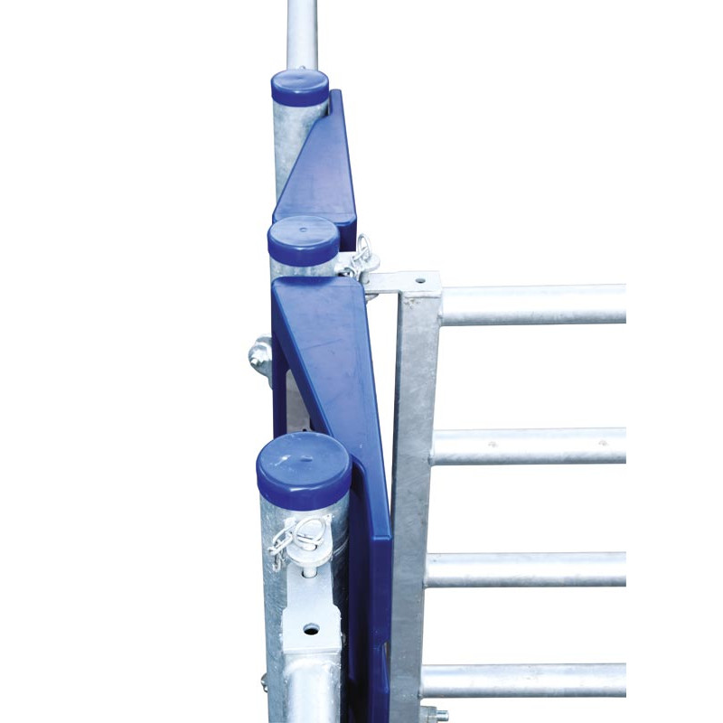 SECURIPASS-Torflügel