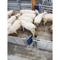 SECURIPASS-Torflügel