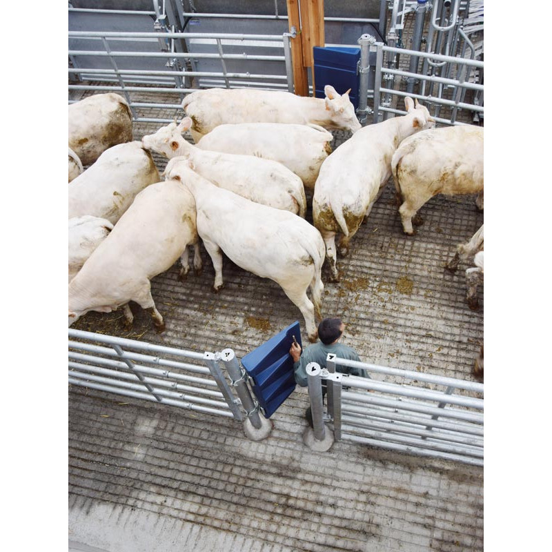 SECURIPASS-Torflügel