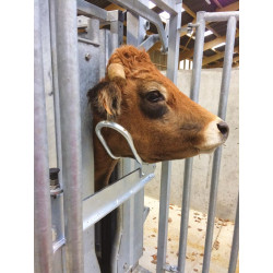 Handbetätigter Kopfheber