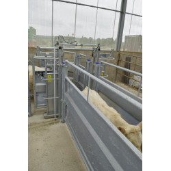 Schiebetür mit zwei Flügeln und pneumatischer Steuerung Schiebetür mit zwei Flügeln und pneumatischer Steuerung