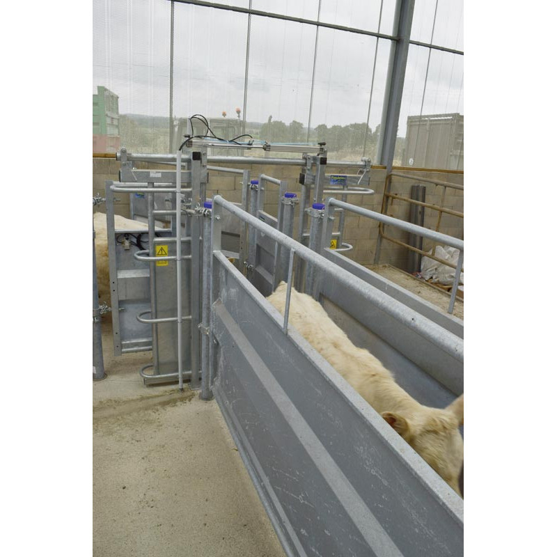 Schiebetür mit zwei Flügeln und pneumatischer Steuerung Schiebetür mit zwei Flügeln und pneumatischer Steuerung