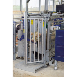 Kopfheber mit pneumatischer Steuerung