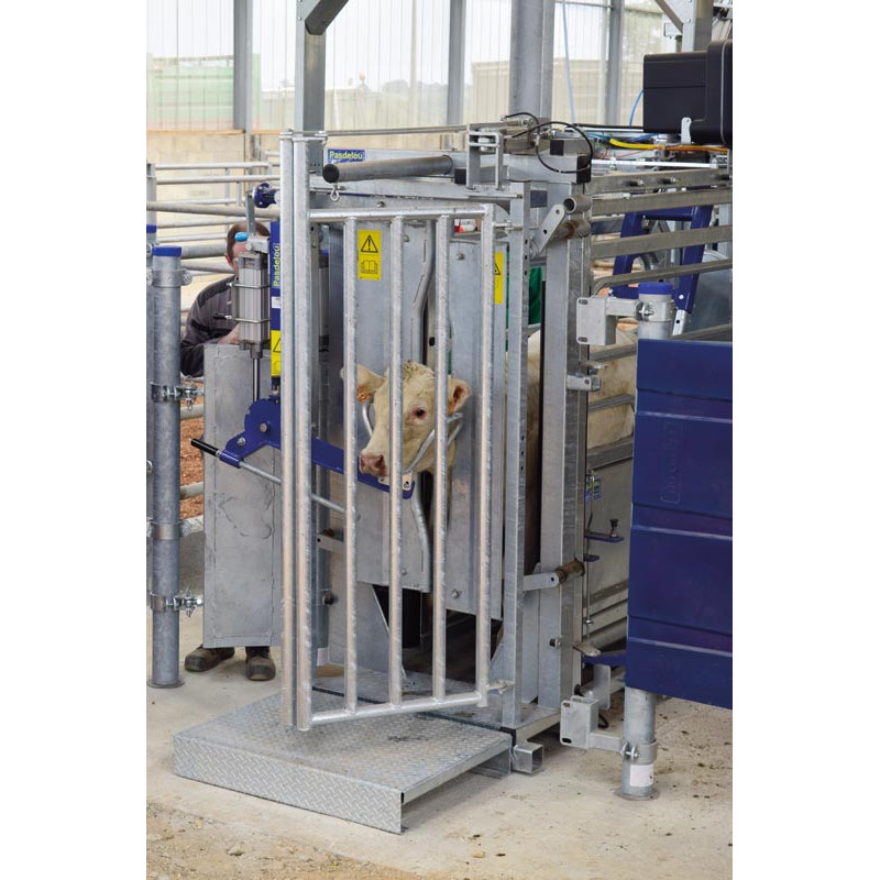 Kopfheber mit pneumatischer Steuerung