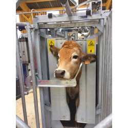 Kopfheber mit pneumatischer Steuerung