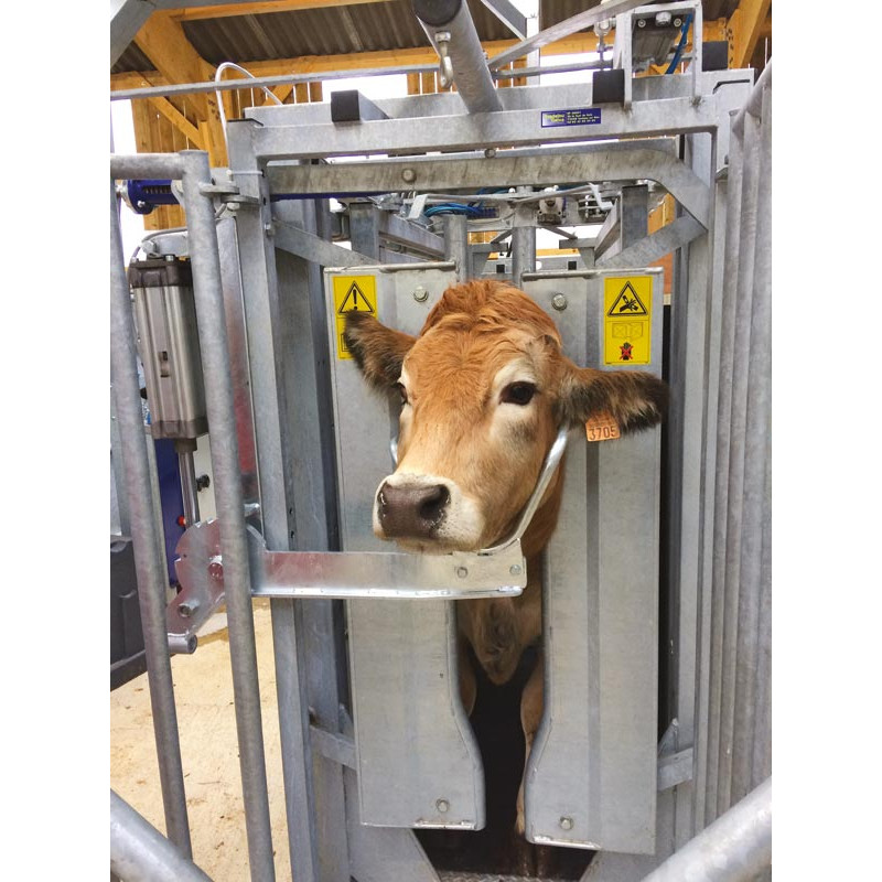 Kopfheber mit pneumatischer Steuerung