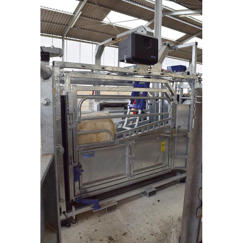 Schubvorrichtung Anti-Rücklauf, pneumatisch