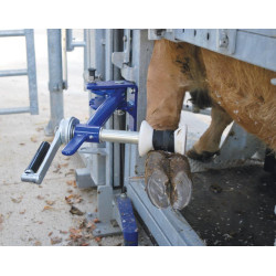 Handbetätigter Klauenpflegesatz vorne und hinten, für Fangstand mit festen Seiten - 4 Seitentüren