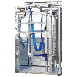 Ersatz-Klauenpflegegurt für die Vorderklauen