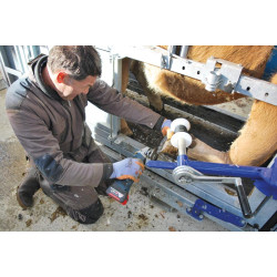 Handbetätigter Klauenpflegesatz vorne und hinten, komplett für Stand mit breitenverstellbaren Seiten - 4 Seitentüren