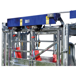 Elektrischer Klauenpflegesatz für stand mit festen Seiten - 4 Seitentüren