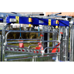 Elektrischer Klauenpflegesatz für Stand mit breitenverstellbaren Seiten - 4 Seitentüren Elektrischer Klauenpflegesatz für Stand mit breitenverstellbaren Seiten - 4 Seitentüren