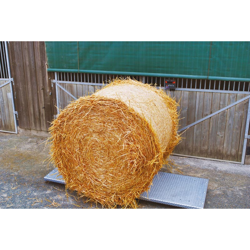 Wiegeplattform -  Riffelblech - Breite 0,80 m