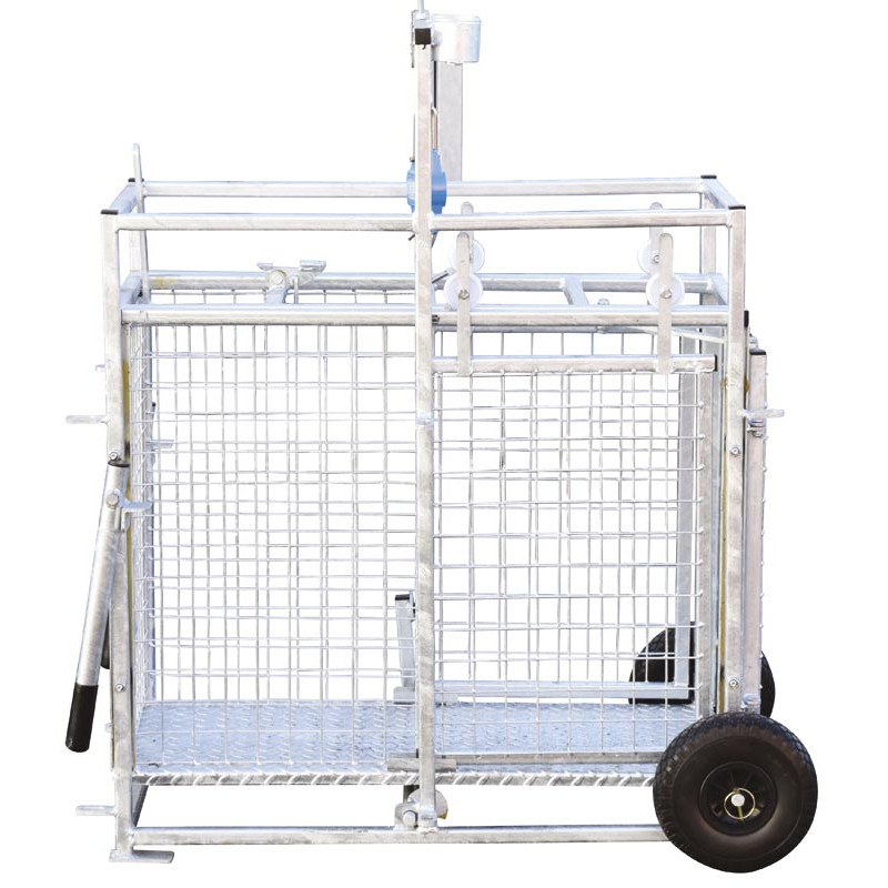 Fahrbarer Wiegestand mit Gewichtsanzeige für Schafe