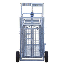 Fahrbarer Wiegestand mit Gewichtsanzeige für Schafe