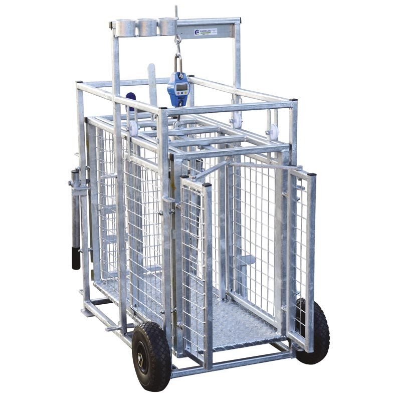 Fahrbarer Wiegestand mit Gewichtsanzeige für Schafe