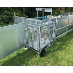 Fahrbarer Wiegestand mit Gewichtsanzeige für Schafe