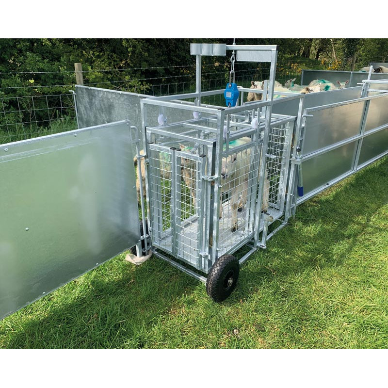 Fahrbarer Wiegestand mit Gewichtsanzeige für Schafe