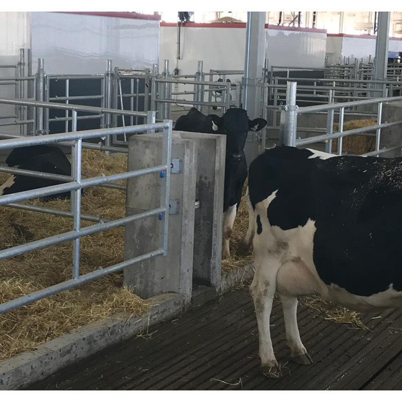 „EASYLOCK“ Wandplatte 