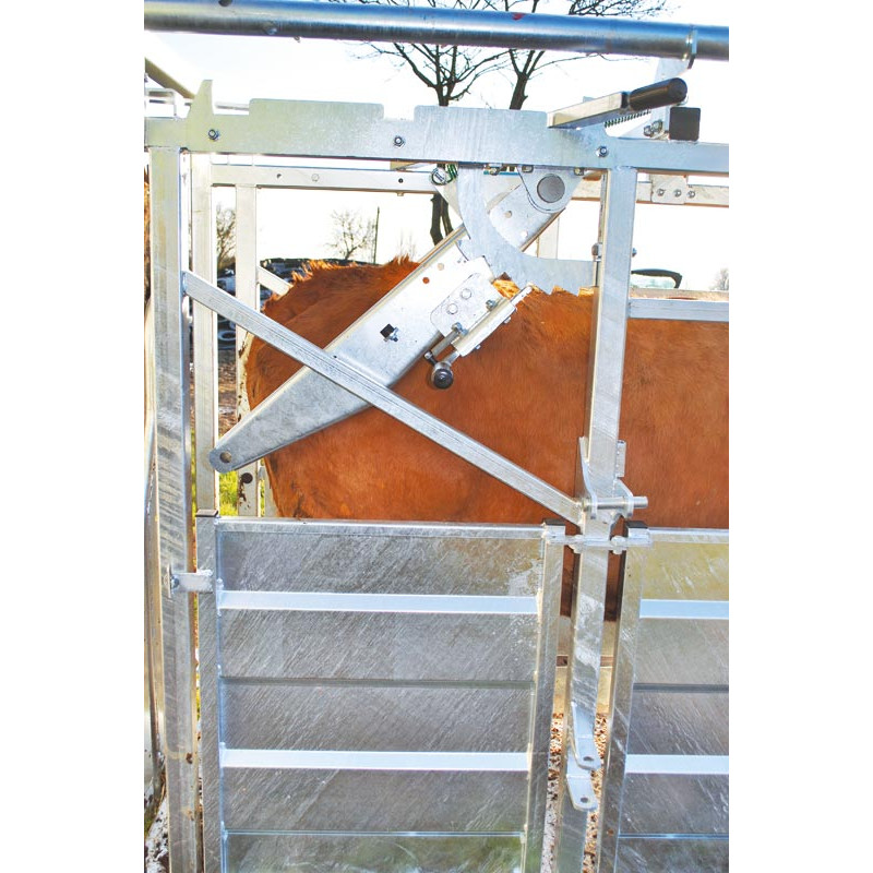 Fang- und Behandlungsstand LFM - 4 Seitentüren - Feste Seiten - Seitliche Panels